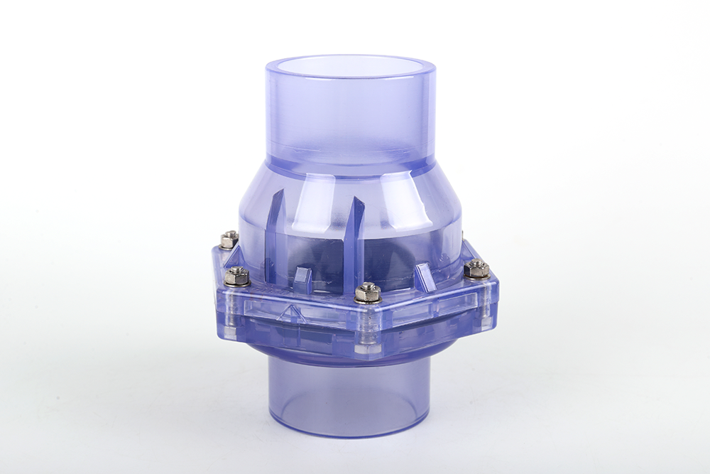 同心透明翻板式止回阀